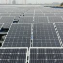 푸른 태양광발전소 이미지