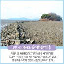 세어도 어촌체험휴양마을 이미지