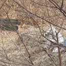 마달봉 Daum카페