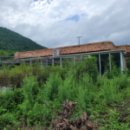 신월동194 이미지