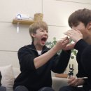 언더비 이미지