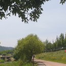 매곡2길 이미지