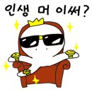 다오뷰티