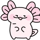 터치스토리 이미지