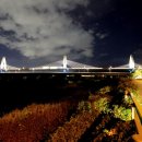 팔달대교 야경 이미지