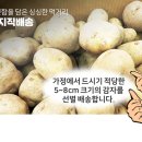 (주)에스피랩