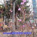 갈미중앙공원 이미지