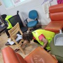 일심경로당 이미지