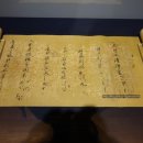 순천-43호 이미지