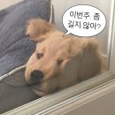 아이폰에 적응 중입니다