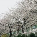 한천길 이미지