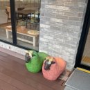 문경새재 트리밤 샐러드 피자 소금빵 커피 맛집 내돈내산
