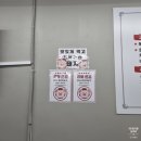 돼민이네 이미지