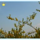 중랑천 산책로 이미지