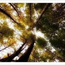 경주시서면도리보건진료소 이미지