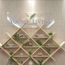 영파워 코리아 이미지