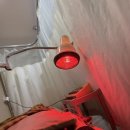 주선한의원 | 해피뉴이어 앤 마이라이프