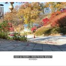 명상요가 이미지