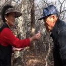 동곤농장 네이버블로그