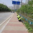 온양1동 시민로 이미지