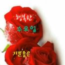 수요일 Daum카페