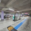 힐데스하임 호암문 앞 이미지