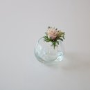 콤마커피 이미지