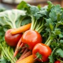 인식농장 | 별꽃농장에서 만나는 특별한 힐링 농촌 경험 5가지