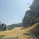 더클래식CC (대중형 18홀) | 가성비 끝판왕 용인 코리아퍼블릭 cc 9홀 벚꽃 라운딩 후기 (초보 추천)