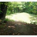 금병산 누리길 이미지