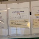 멍돌핀 이미지