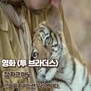 영화 투 브라더스 후기 그들을 지키는 건 우리 몫이다 줄거리 결말