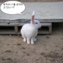 순기농장 Daum카페