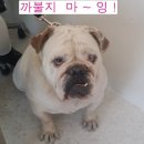 에스케이축산