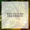 전정형외과의원 이미지