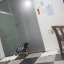 드래곤스파빌리지모텔 이미지