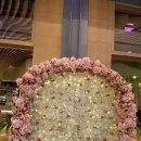 월넛 walnut 이미지