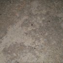 천주사 입구 이미지