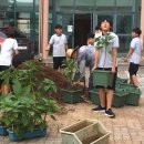 대천서중학교 이미지