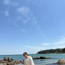 파머스하우스 | 양양 1일차 여행ㅣ파머스키친부터 하조대 전망대, 글램핑(풀라운지펜션글램핑)까지 완벽한 힐링 코스