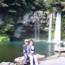 천지연 폭포 이미지