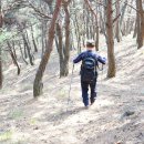 방산334화산등452뒤산325마음산305구산봉331별등267천리장산322유산416부곡산319깃대봉175/경북 청도 이미지