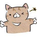 아이잗바바프리미엄아울렛