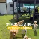 팽성남로 이미지