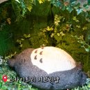 도쿄 스카이트리 지브리 토토로 지브리샵 동구리공화국 들렸다가 나온 후기!