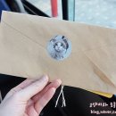 제 2회 국제캣산업박람회 후기