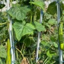 워니 농장 이미지