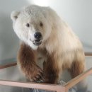 반야유치원 이미지