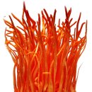 정균농장 이미지