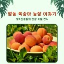 영동메디칼 이미지